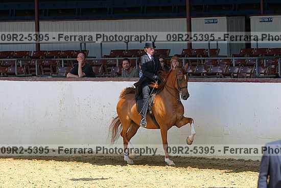 Proof 09r2-5395