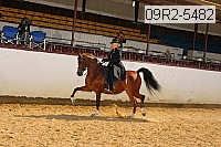 09r2-5482 proof