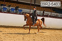 09r2-5483 proof
