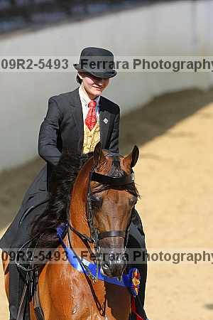 Proof 09r2-5493