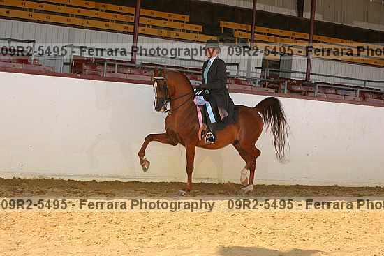 Proof 09r2-5495