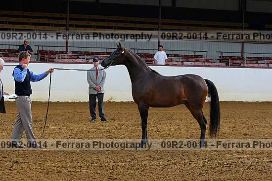 Proof 09r2-0014
