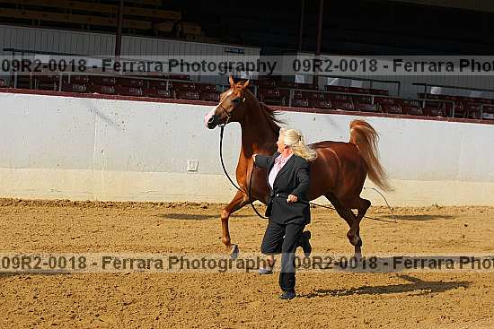 Proof 09r2-0018