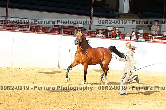 Proof 09r2-0019