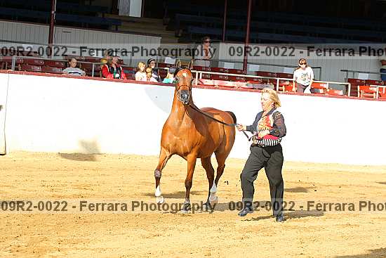 Proof 09r2-0022