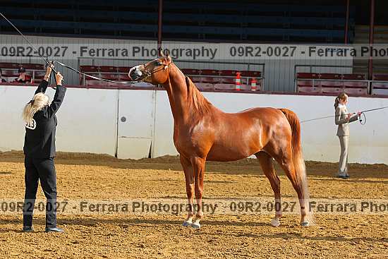 Proof 09r2-0027