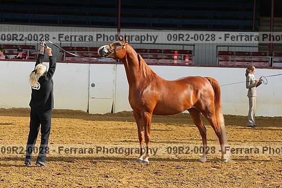 Proof 09r2-0028