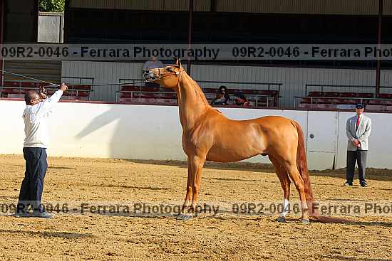 Proof 09r2-0046