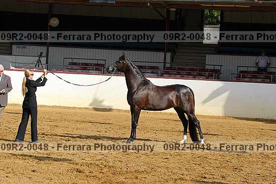 Proof 09r2-0048