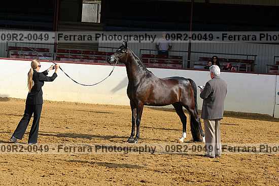 Proof 09r2-0049