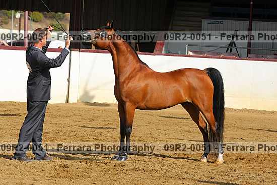 Proof 09r2-0051