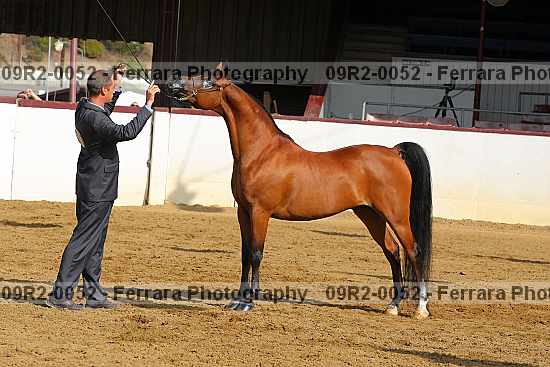 Proof 09r2-0052
