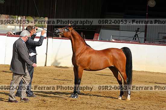 Proof 09r2-0053