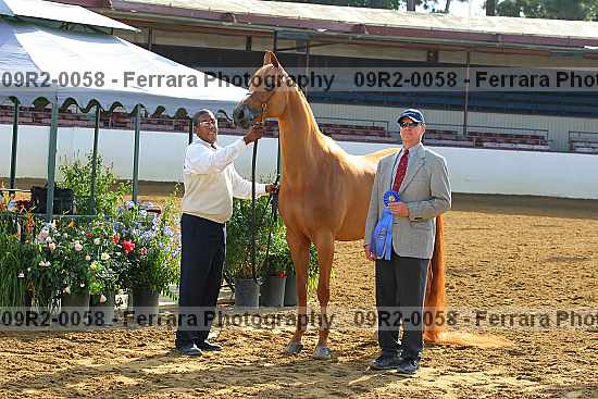 Proof 09r2-0058