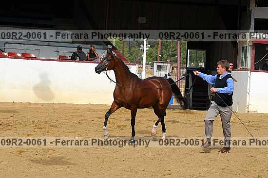Proof 09r2-0061