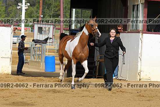 Proof 09r2-0062