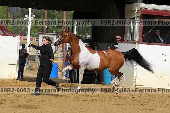 Proof 09r2-0063