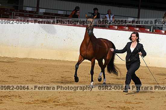 Proof 09r2-0064