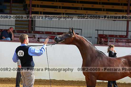 Proof 09r2-0069