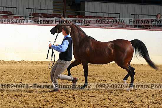 Proof 09r2-0070