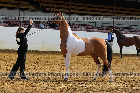 Proof 09r2-0071