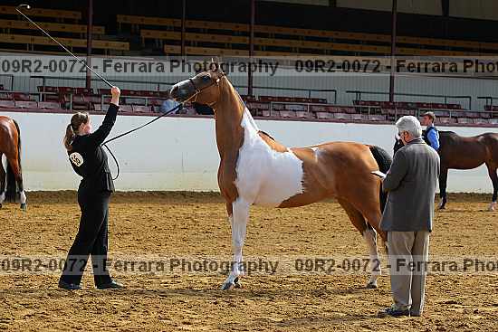 Proof 09r2-0072