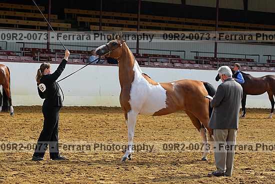 Proof 09r2-0073