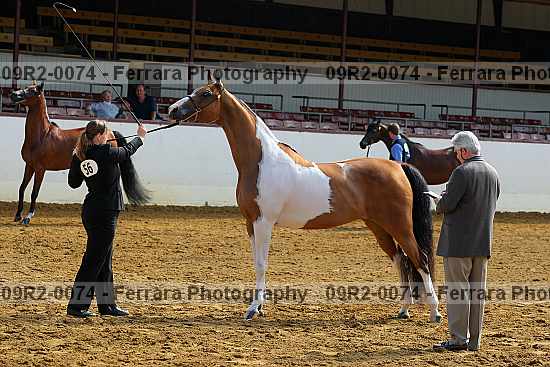 Proof 09r2-0074