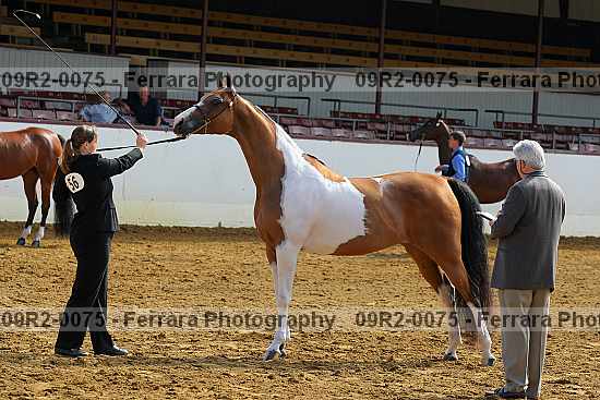 Proof 09r2-0075
