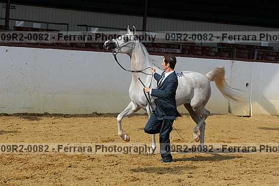 Proof 09r2-0082