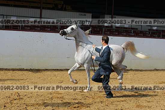 Proof 09r2-0083