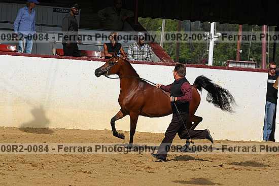 Proof 09r2-0084