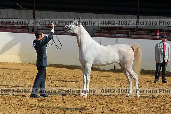 Proof 09r2-0087