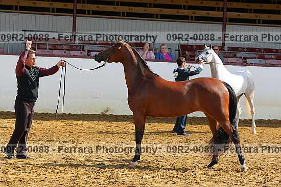 Proof 09r2-0088