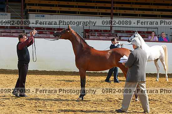 Proof 09r2-0089