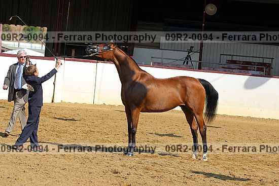 Proof 09r2-0094