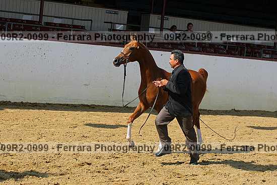 Proof 09r2-0099