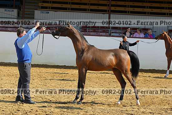Proof 09r2-0102