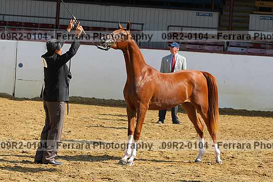 Proof 09r2-0104