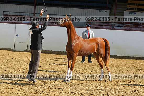 Proof 09r2-0105