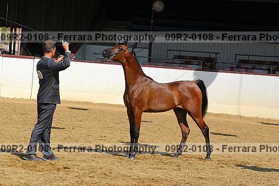 Proof 09r2-0108