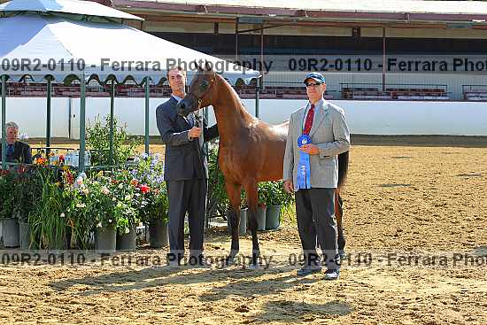 Proof 09r2-0110
