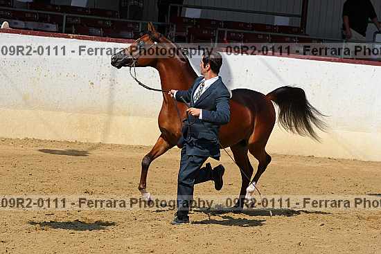 Proof 09r2-0111