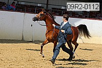 09r2-0112 proof