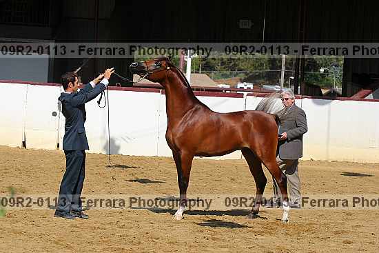 Proof 09r2-0113