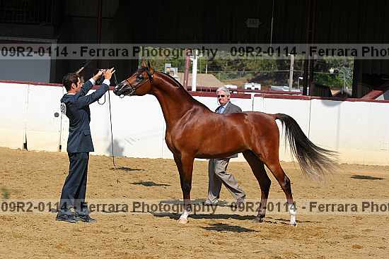 Proof 09r2-0114
