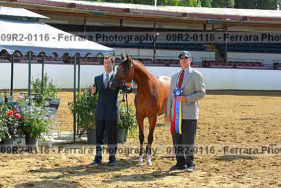 Proof 09r2-0116
