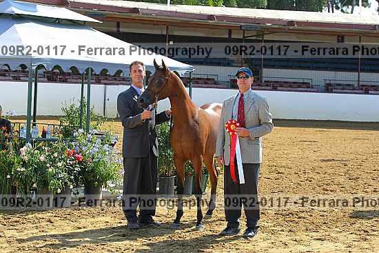 Proof 09r2-0117