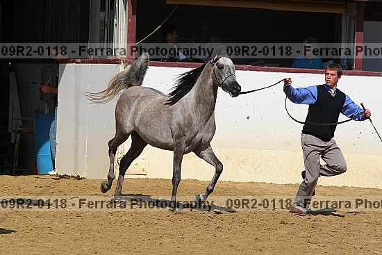 Proof 09r2-0118