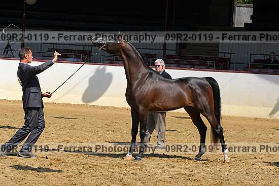Proof 09r2-0119